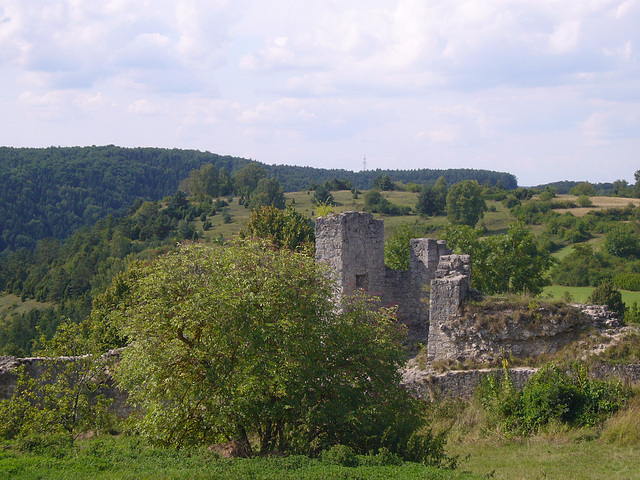 Burg Kallmünz