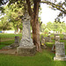 Le cimetière de Bastrop / Bastrop's cemetery - Louisiane, USA / 8 juillet 2010.
