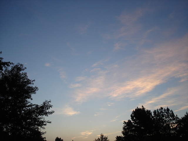 Coucher de soleil / Sunset - Pocomoke, Maryland. USA - 18 juillet 2010