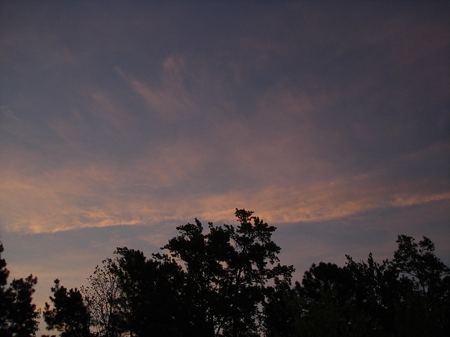 Coucher de soleil / Sunset - Pocomoke, Maryland. USA - 18 juillet 2010