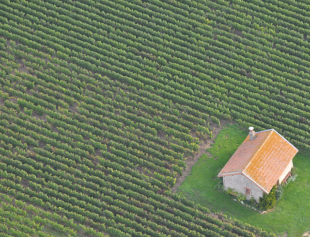 CABANE DANS LES VIGNES