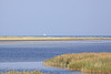 20100923 8301Aw [D~NVP] Zingst, Pramort, Segler