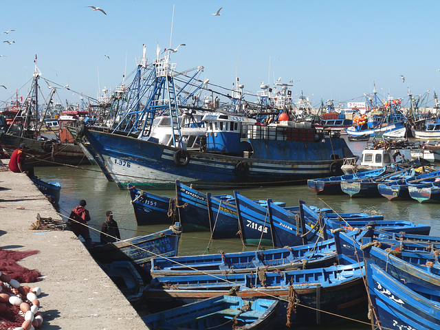 Essaouira Fishing Boats #1