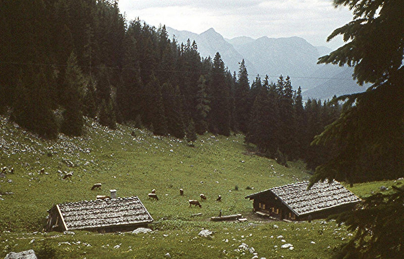 BGL 0147 60w Ramsau, Mitterkaseralm