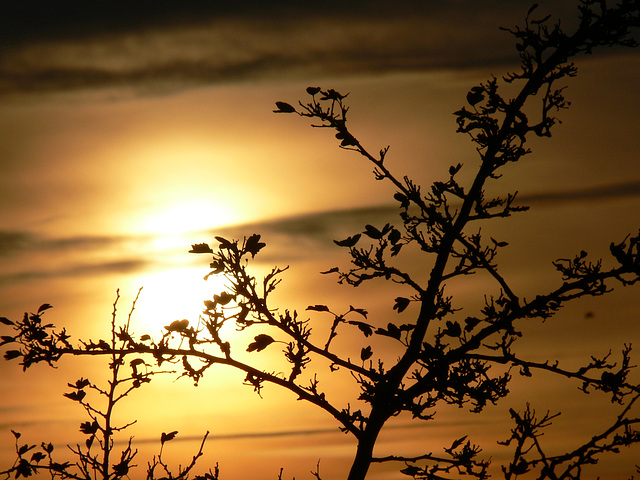 herbstliche Abendsonne