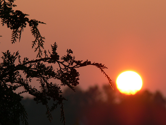 de nouveau: Sonnenuntergang