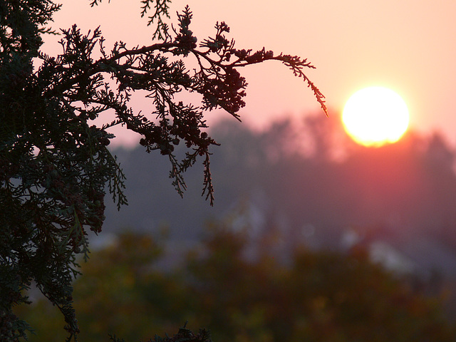 de nouveau: Sonnenuntergang