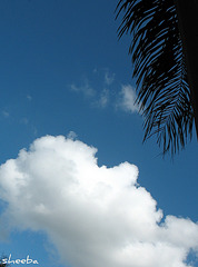 .. cloud-watching day