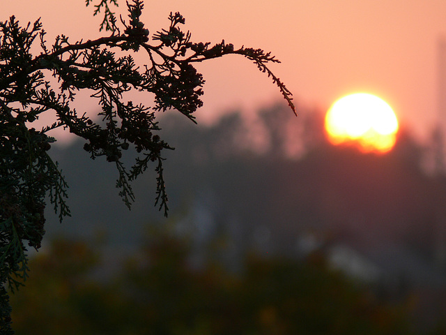 de nouveau: Sonnenuntergang