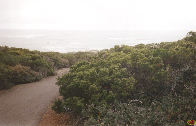 1997-07-23 046 Aŭstralio, Kangaroo Island,