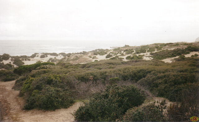 1997-07-23 047 Aŭstralio, Kangaroo Island,