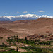 Oasis, Desert, Atlas Mountains