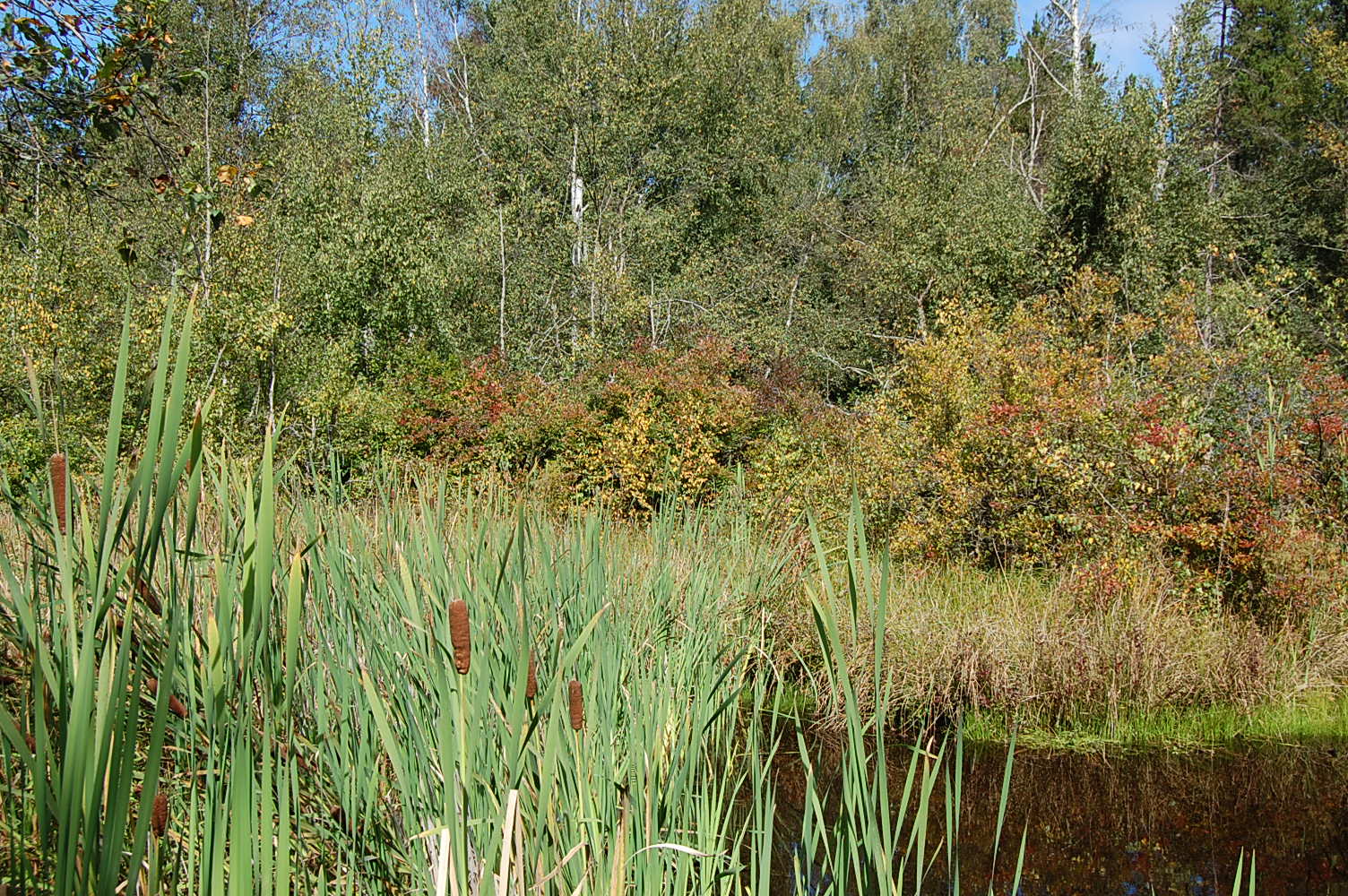 20100908 Naturparko