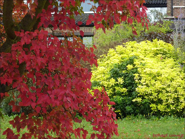 Couleurs d'automne