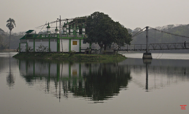 Darga