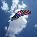 Aigle et drapeau / Flag and eagle - Texas. 28-06-2010