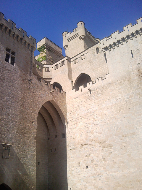 Castillo de Olite.