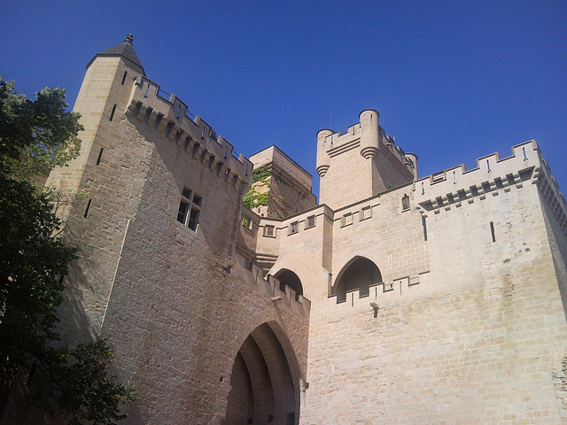 Castillo de Olite.