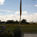 Aigle et drapeau / Flag and eagle - Texas. 28-06-2010