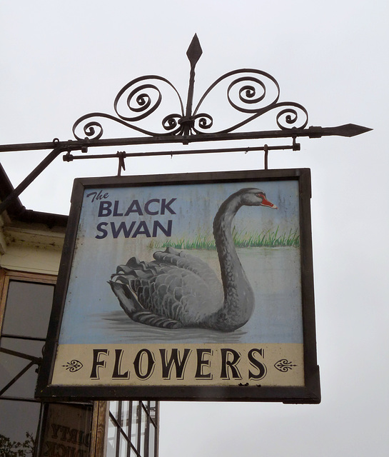 'The Black Swan'