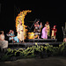 Shakespeare in the Night