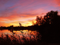 coucher camarguais ...