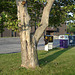 Arbre postal / Postal tree - Colombus, Ohio. USA - 25 juin 2010