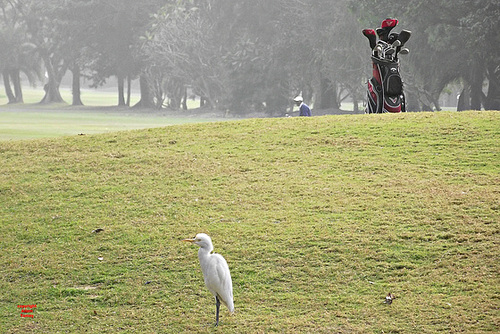 Golf course