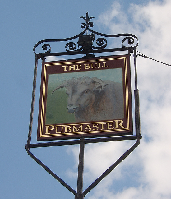 'The Bull'