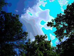 Arbre, ciel et nuages /  Sky, clouds and trees - Ohio. USA - 25 juin 2010 - Postérisation