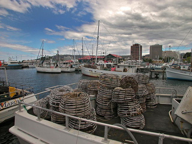 Fishing boats in the harbor