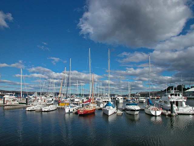 Marina in Hobart