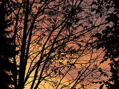 Sonnenaufgang - Sunrise