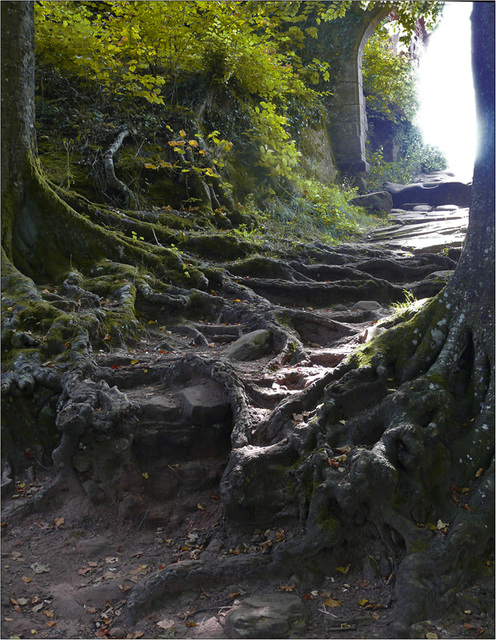 l'entrée du domaine du vent : le Falkenstein