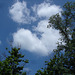 Arbres, ciel et nuages / Sky, clouds and trees - Ohio. USA. 25 juin 2010