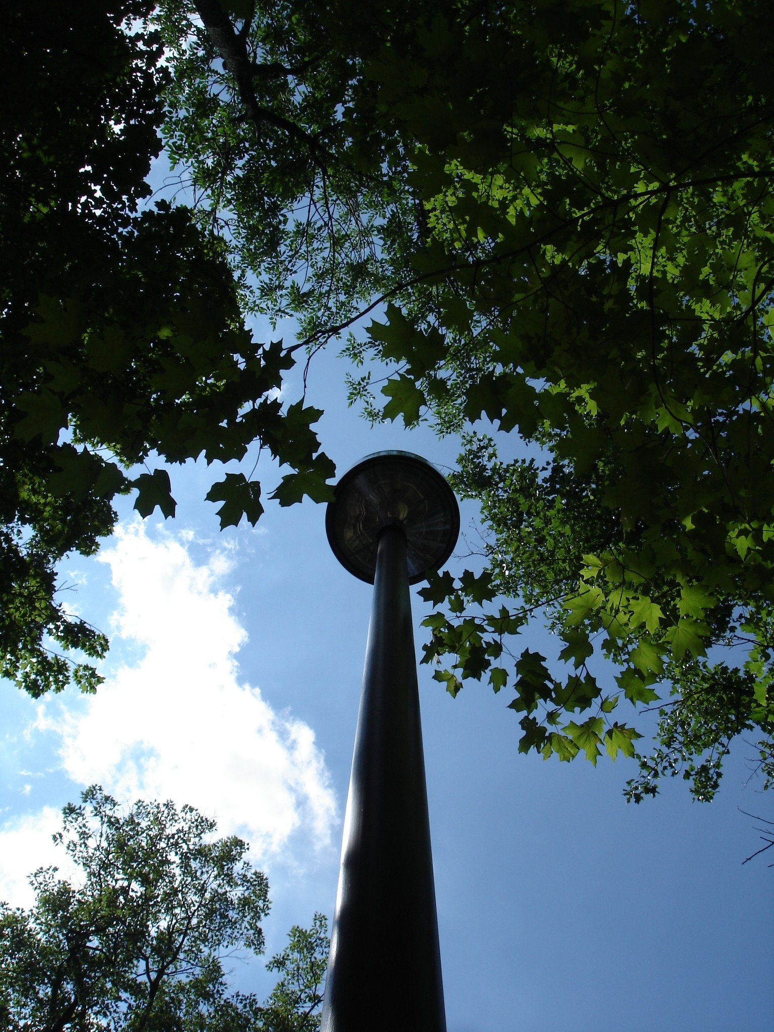 Aire de repos / Rest Area - Ohio. USA - 25 juin 2010.