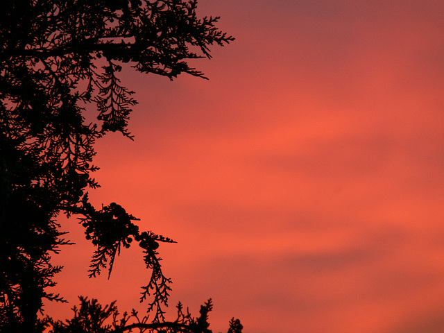 roter Himmel