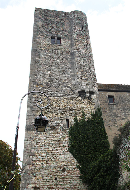 Château de Nemours