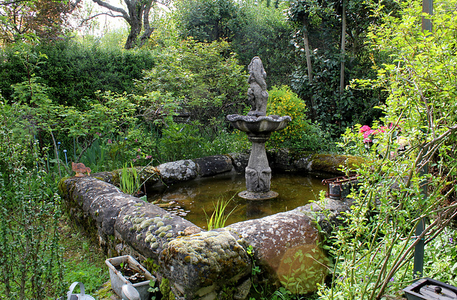 Le jardin de Persiflore  (6)