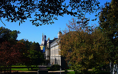 Friedrich-Wilhelms-Universität in Bonn