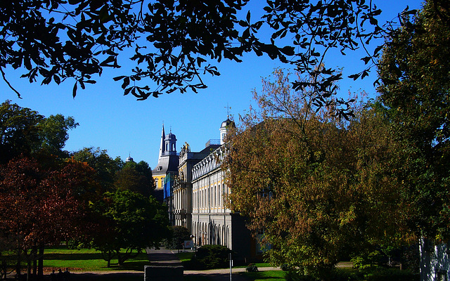 Friedrich-Wilhelms-Universität in Bonn