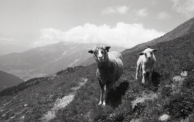 Près de La Fontaine