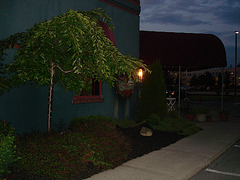 Syracuse, NY. USA - 23-06-2010 - Fried Grimaldi's restaurant - Photo originale