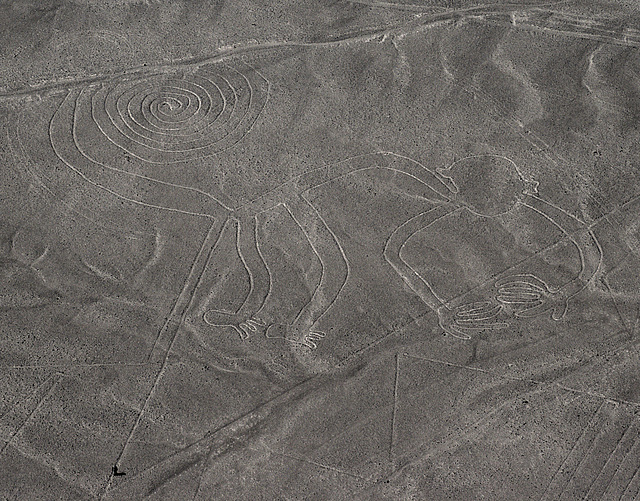 Nazca  LinesMonkey