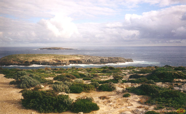 1997-07-23 085 Aŭstralio, Kangaroo Island,