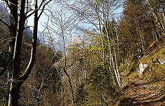 BGL 0164 78w Untersberg