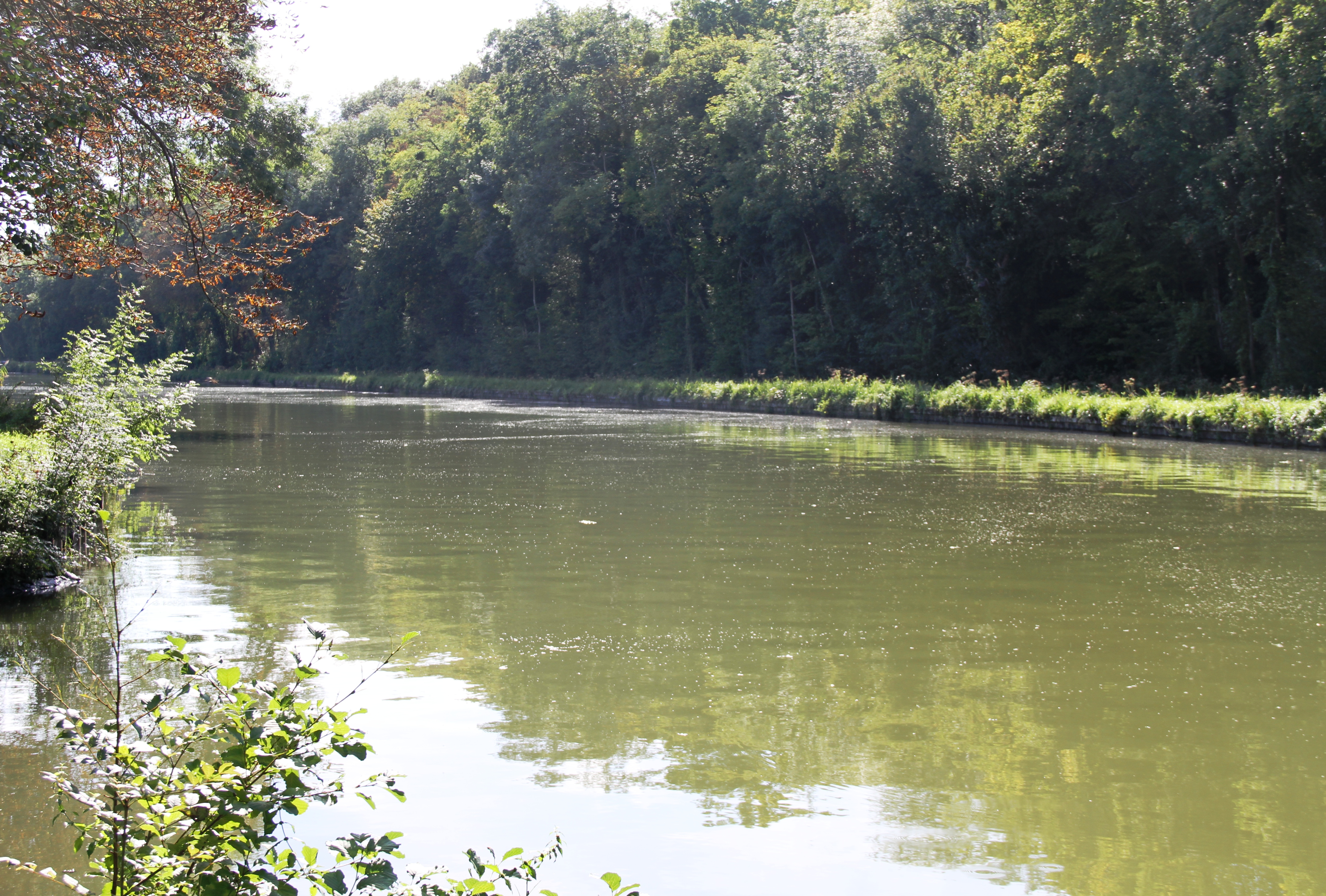 Canal du Loing entre Cepoy et Buges