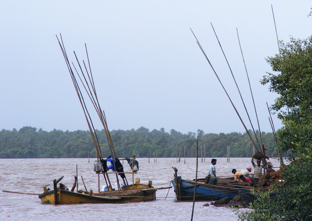 Fishing boats