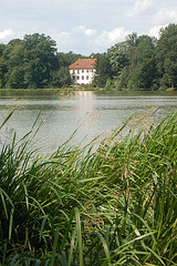 fragmito antaŭ lago