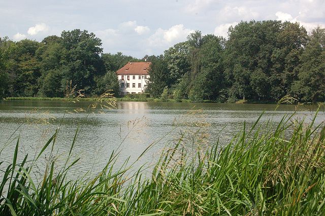 fragmito, lago, domo